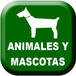Animales-y-Mascotas
